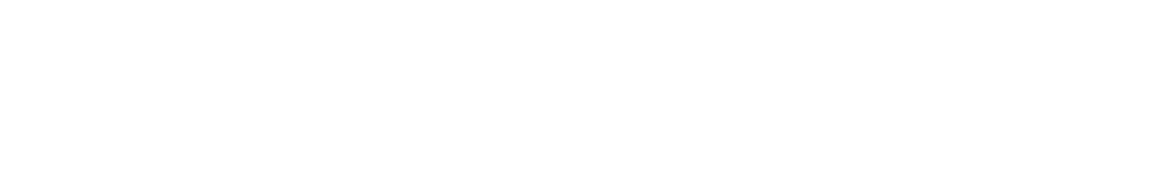 Neuberger-Berman-Logo-Transparent-White