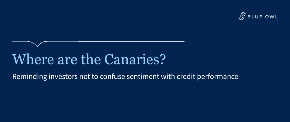 Where are the canaries