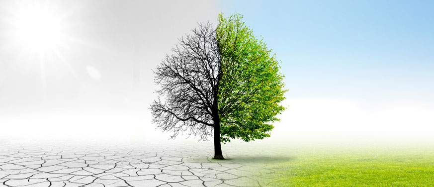 Market Frictions and Climate Change: Why the Marketplace Can’t Just Fix it