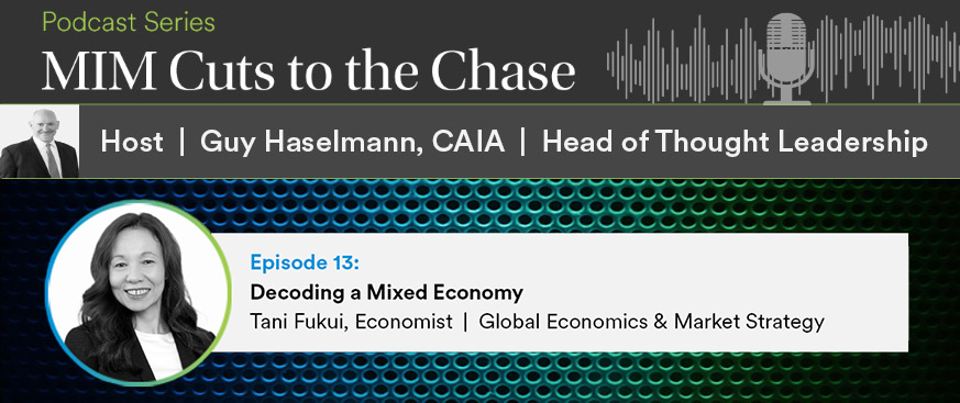 Decoding a Mixed Economy