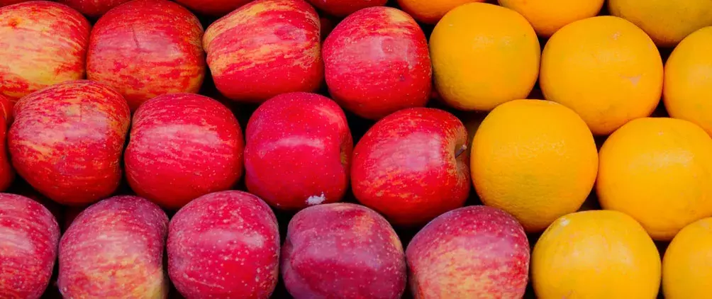 NEAM’s Peer Analysis Tool header