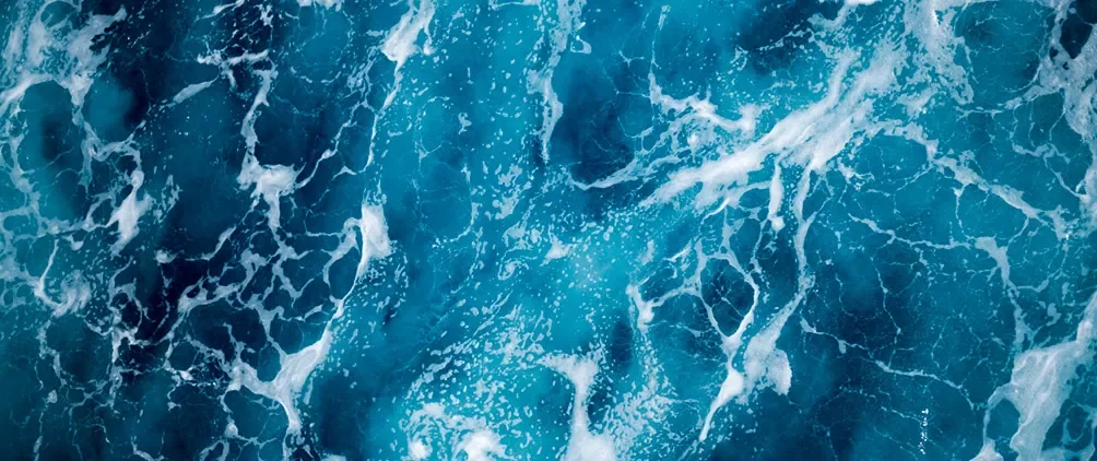 FederatedHermesFeatured